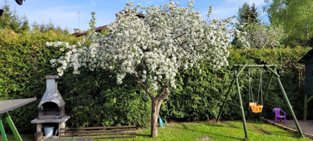 Cudodomek Na Mazurach W Woszczelach Kolo Elku Exteriör bild